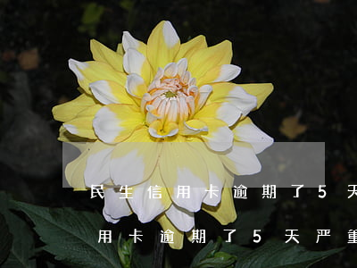 民生信用卡逾期了5天严重吗贴吧-民生信用卡逾期了5天严重吗贴吧