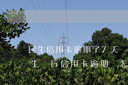 民生信用卡逾期了7天嚴(yán)重嗎(民生銀行信用卡逾期會怎么樣)
