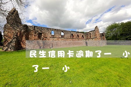民生信用卡逾期了一個小時(民生信用卡逾期了一個小時)