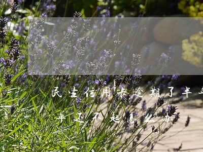 民生信用卡逾期了半年了(民生信用卡逾期一年还不起怎么办)