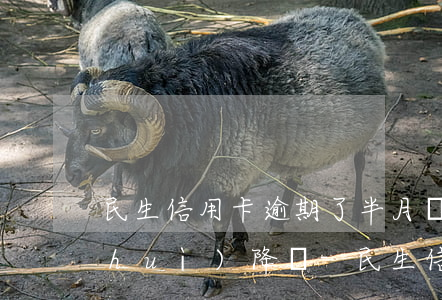 民生信用卡逾期了半月會(huì)不會(huì)降額-民生信用卡逾期了半月會(huì)不會(huì)降額度
