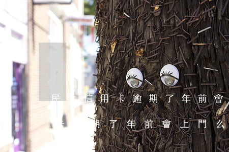 民生信用卡逾期了年前會上門么-民生信用卡逾期了年前會上門么嗎