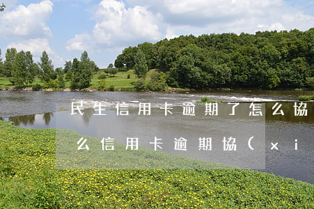 民生信用卡逾期了怎么協(xié)商(為什么信用卡逾期協(xié)商不了)