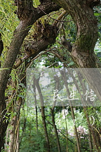 民生信用卡逾期了會(huì)查封財(cái)產(chǎn)嗎-欠信用卡查封房產(chǎn)