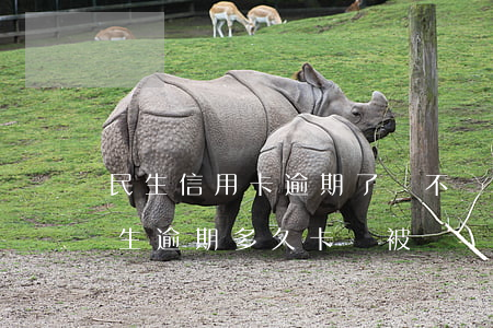 民生信用卡逾期了會不會凍結(jié)(民生逾期多久卡會被凍結(jié))