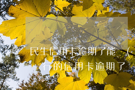 民生信用卡逾期了能協(xié)商嗎(民生銀行的信用卡逾期了違約金能取消嗎)