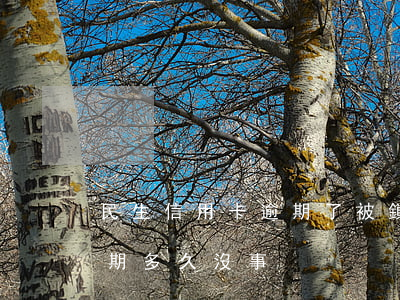 民生信用卡逾期了被鎖了(民生信用卡可以逾期多久沒事)