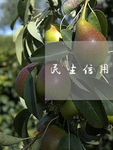 民生信用卡逾期五年后還能辦卡嗎