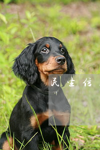 民生信用卡逾期交總部(民生信用卡 逾期一天)