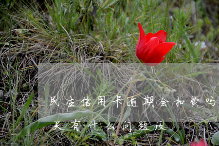 民生信用卡逾期会扣费吗(民生信用卡逾期一天有什么问题没?)