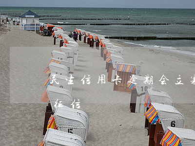 民生信用卡逾期会立案吗(民生卡逾期几天上征信)