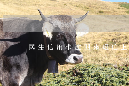 民生信用卡逾期來短信上訴