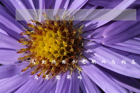 民生信用卡逾期俩天利息多少(民生信用卡3天算逾期吗)