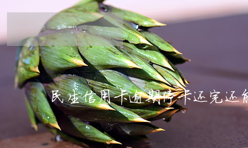 民生信用卡逾期停卡还完还能用吗