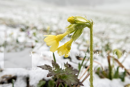 民生信用卡逾期停用(民生信用卡逾期停用全款還玩申請(qǐng)開(kāi)通機(jī)會(huì)大嘛)