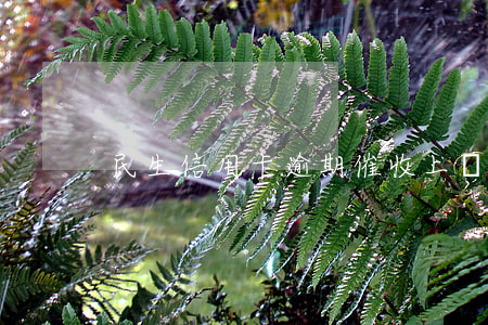 民生信用卡逾期催收上門