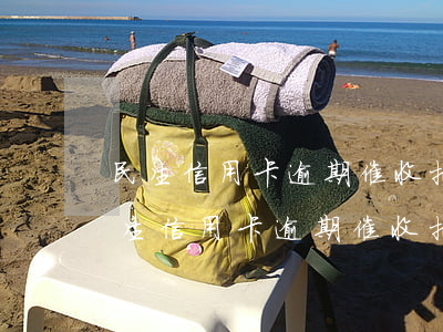民生信用卡逾期催收把資料返回給銀行-民生信用卡逾期催收把資料返回給銀行了