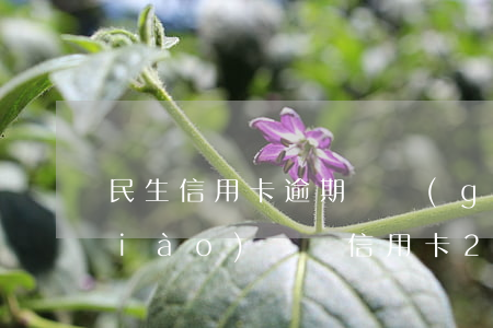 民生信用卡逾期兩個(gè)月影響調(diào)額嗎 信用卡2個(gè)月逾期影響房貸