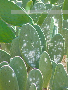 民生信用卡逾期兩個(gè)月要發(fā)律師函-民生信用卡逾期兩個(gè)月要發(fā)律師函嗎