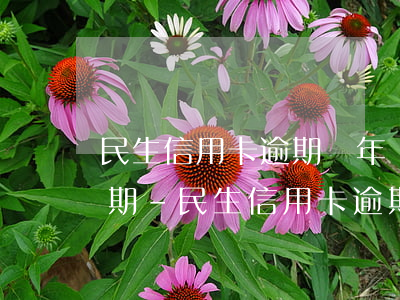 民生信用卡逾期兩年協(xié)商還36期-民生信用卡逾期兩年協(xié)商還36期可以嗎