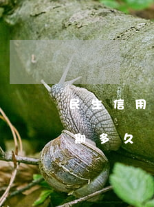 民生信用卡逾期兩年沒還(民生信用卡可以逾期多久沒事)