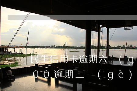 民生信用卡逾期六個(gè)月(信用卡6000逾期三個(gè)月)