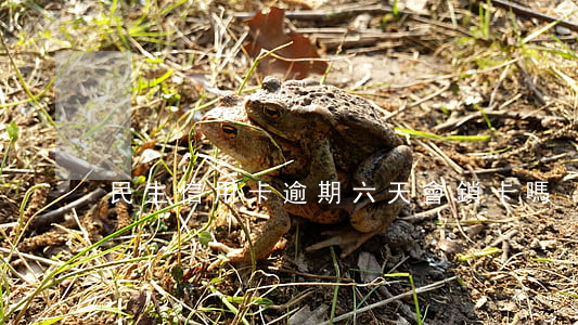 民生信用卡逾期六天會鎖卡嗎