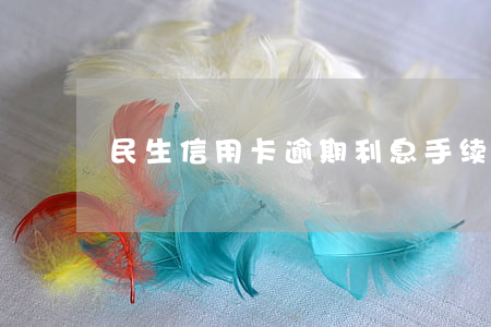 民生信用卡逾期利息手续费(信用卡 逾期利息)