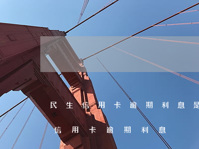 民生信用卡逾期利息是怎么計(jì)算-信用卡 逾期利息