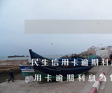 民生信用卡逾期利息為何高得可怕-民生信用卡逾期利息為何高得可怕呢