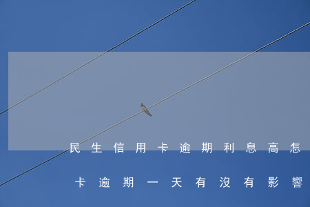 民生信用卡逾期利息高怎么辦(民生銀行信用卡逾期一天有沒有影響?)