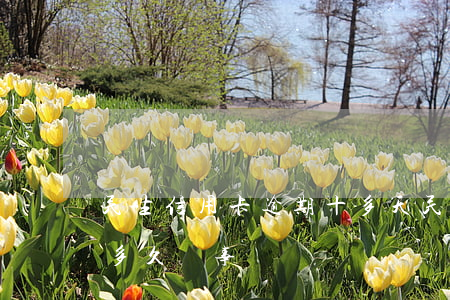 民生信用卡逾期十多天(民生信用卡可以逾期多久沒事)