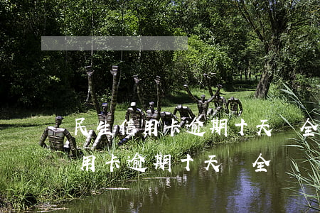 民生信用卡逾期十天會全額還款么-民生信用卡逾期十天會全額還款么嗎