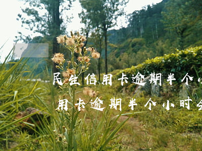 民生信用卡逾期半个小时会怎么样-民生信用卡逾期半个小时会怎么样啊
