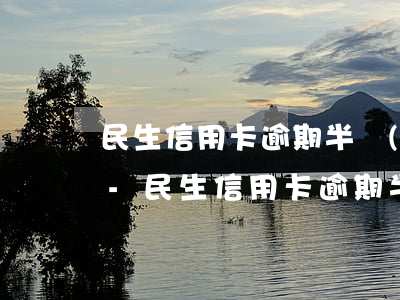 民生信用卡逾期半個(gè)月要求全額還-民生信用卡逾期半個(gè)月要求全額還款