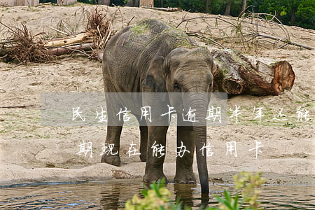 民生信用卡逾期半年还能再用吗(半年前有逾期,现在能办信用卡)