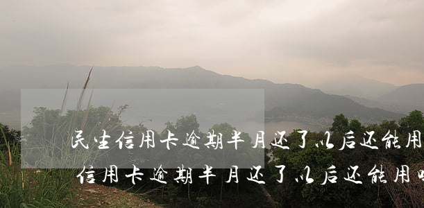 民生信用卡逾期半月还了以后还能用-民生信用卡逾期半月还了以后还能用吗
