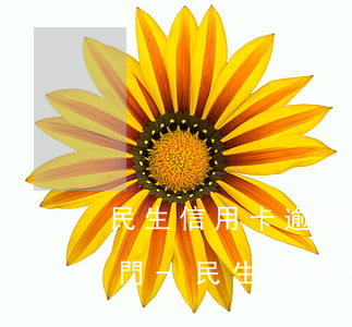 民生信用卡逾期協(xié)商不同意要上門-民生信用卡逾期協(xié)商不同意要上門怎么辦
