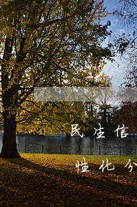 民生信用卡逾期協(xié)商個(gè)性化分期必須還最低-民生銀行協(xié)商個(gè)性化分期