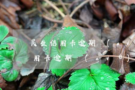 民生信用卡逾期協(xié)商技巧(民生信用卡逾期協(xié)商成功)