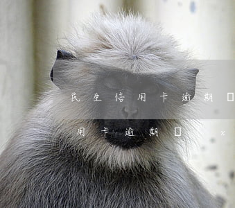 民生信用卡逾期協(xié)商方案(民生信用卡逾期協(xié)商方案)