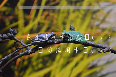 民生信用卡逾期協(xié)商還款流程(民生銀行信用卡協(xié)商還款)