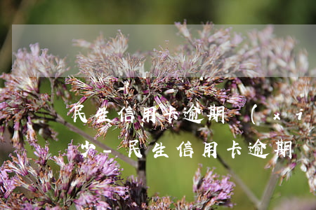 民生信用卡逾期協(xié)商還款電話多少-民生信用卡逾期協(xié)商還款電話多少號