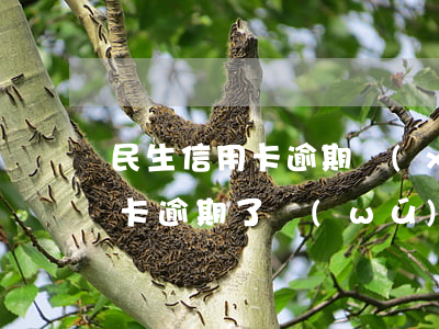 民生信用卡逾期協(xié)商電話-信用卡逾期了無(wú)力償還怎么辦