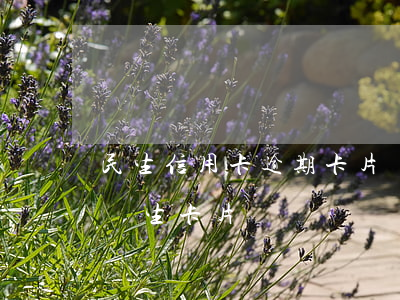民生信用卡逾期卡片狀態正常(民生信用卡已產生卡片)