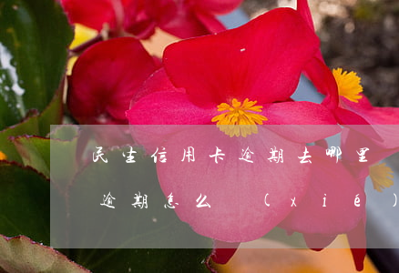 民生信用卡逾期去哪里協(xié)商(民生逾期怎么協(xié)商)