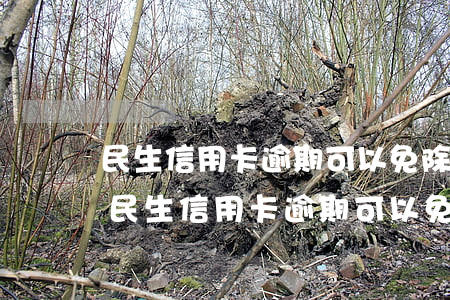 民生信用卡逾期可以免除違約金和利息嗎-民生信用卡逾期可以免除違約金和利息嗎
