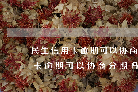 民生信用卡逾期可以协商分期吗-民生信用卡逾期可以协商分期吗