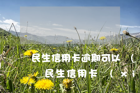 民生信用卡逾期可以協(xié)商還本金嗎(民生信用卡協(xié)商處理本金是不是真的)