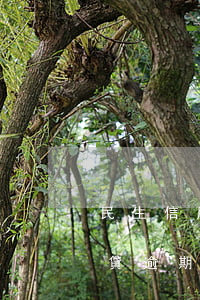 民生信用卡逾期可以辦理房貸嗎(民生銀行房貸逾期一天民生銀行有寬限期嗎?)